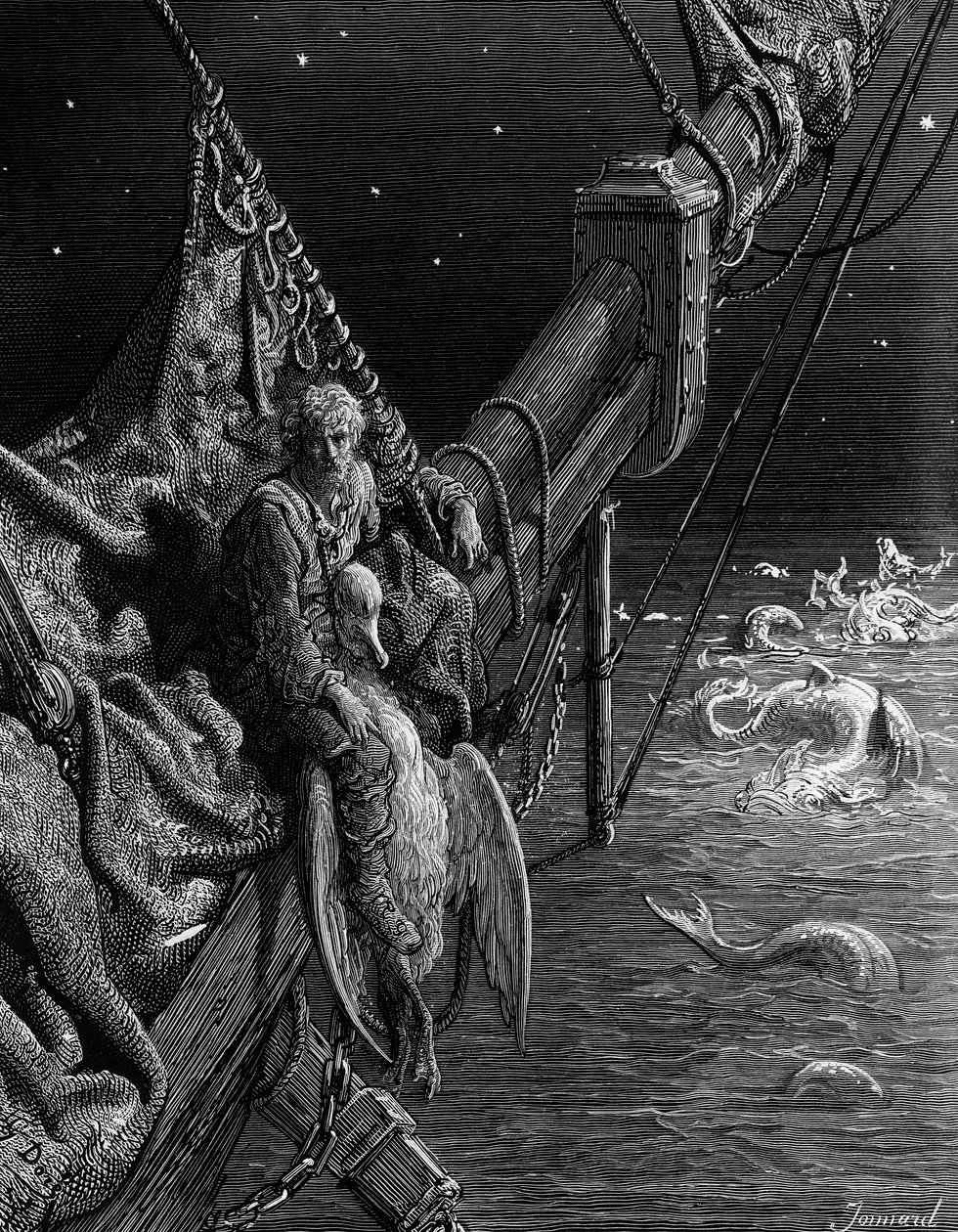 SkyWatch July 2024<br>Data Babies